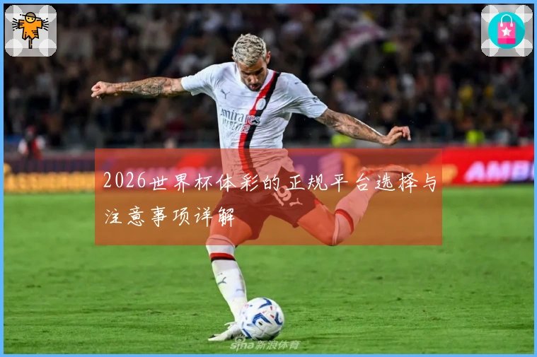 2026世界杯体彩的正规平台选择与注意事项详解